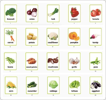 

20Pcs/Set Teaching Aids Vegetable English Card Big Card A4 Poster Learn Education Kindergarten Kids Games Classroom Decoration