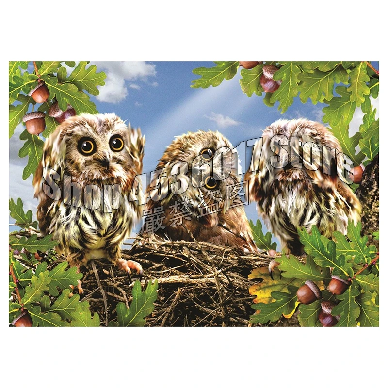 

5D DIY Diamond Painting Birds Owls animals Flowers Christmas Gift Full Square Diamond Embroidery Cross Stitch Mosaic Home Decor