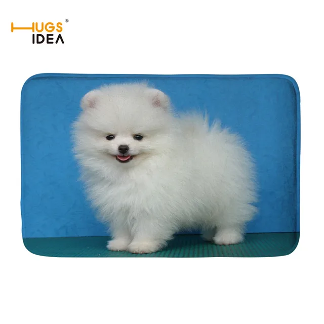 living with a pomeranian