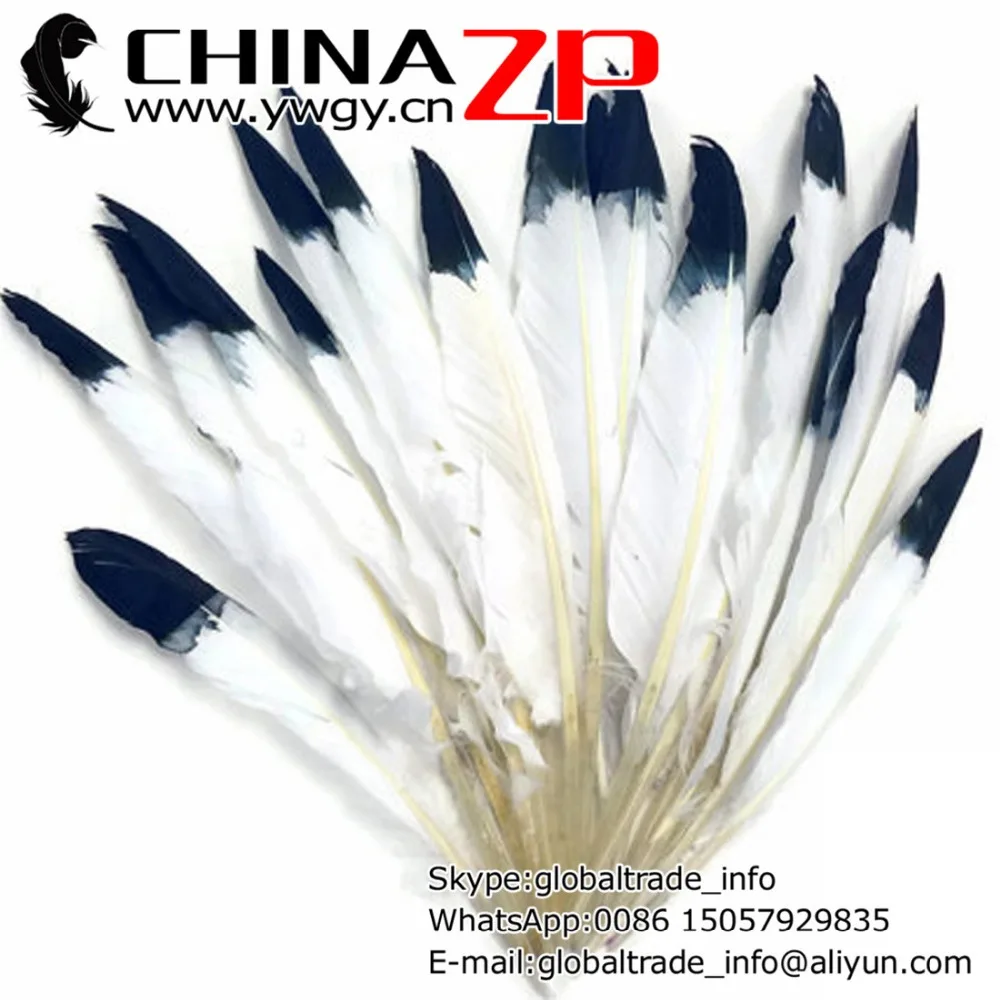 

No1.Manufacturer CHINAZP Factory 1000pcs/lot Unique Dyed White with Royal Blue Tips Duck Cochettes Loose Feathers