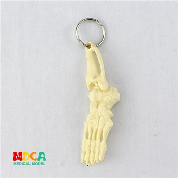 

foot key lock ornament gift pendant key buckle human.organ anatomy medical teaching toy YSK009