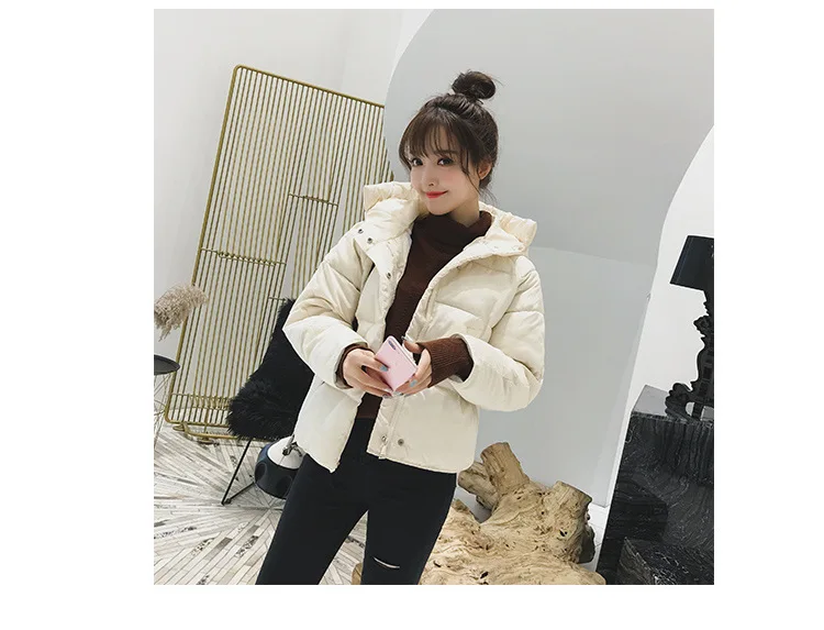 2018 Новинка зимы поступления корейский стиль свободный пуховик женские парки верхняя одежда с капюшоном однотонные Короткие