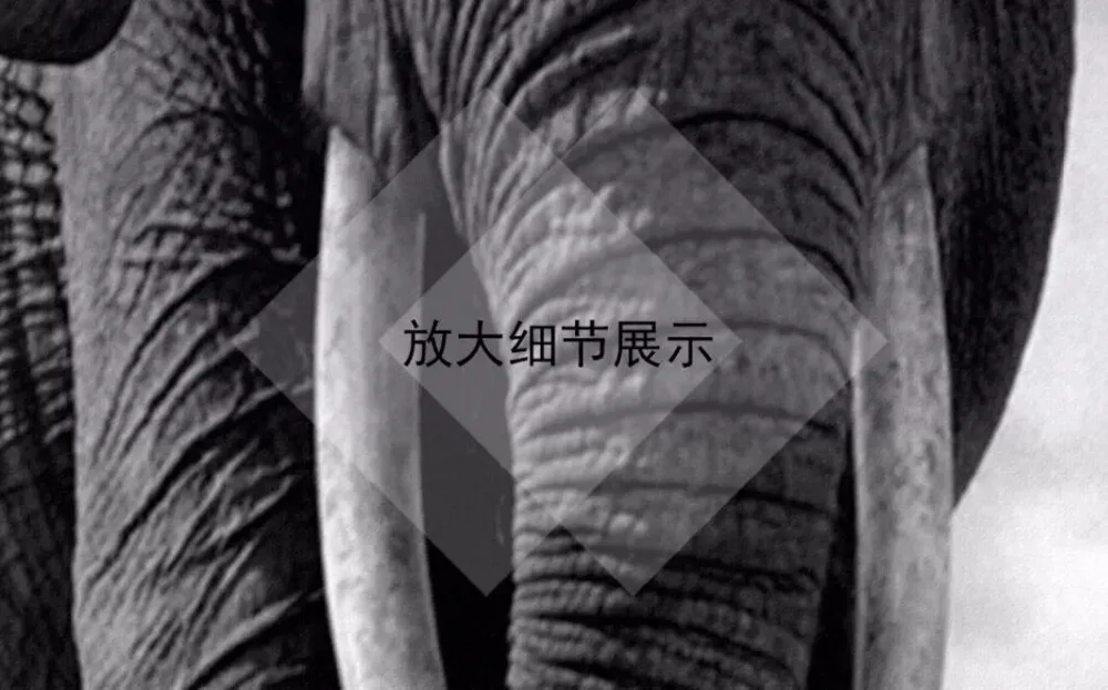 QQ20190220153301