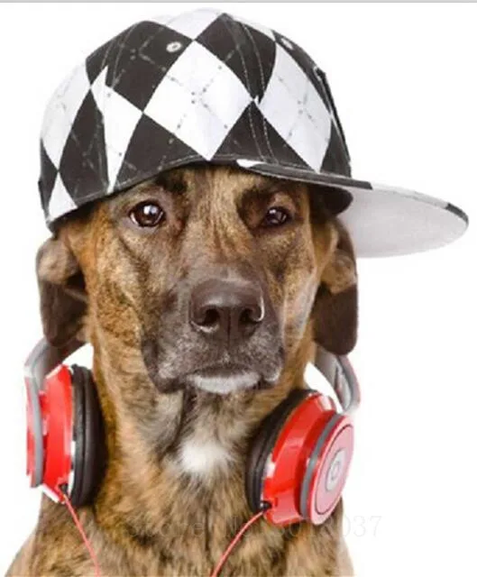 

Diamant Diy 5D Diamond Painting Cross Stitch Wear Hat To Listen The Dog Needlework 3D Diamond Embroidery Full Diamond Decorative