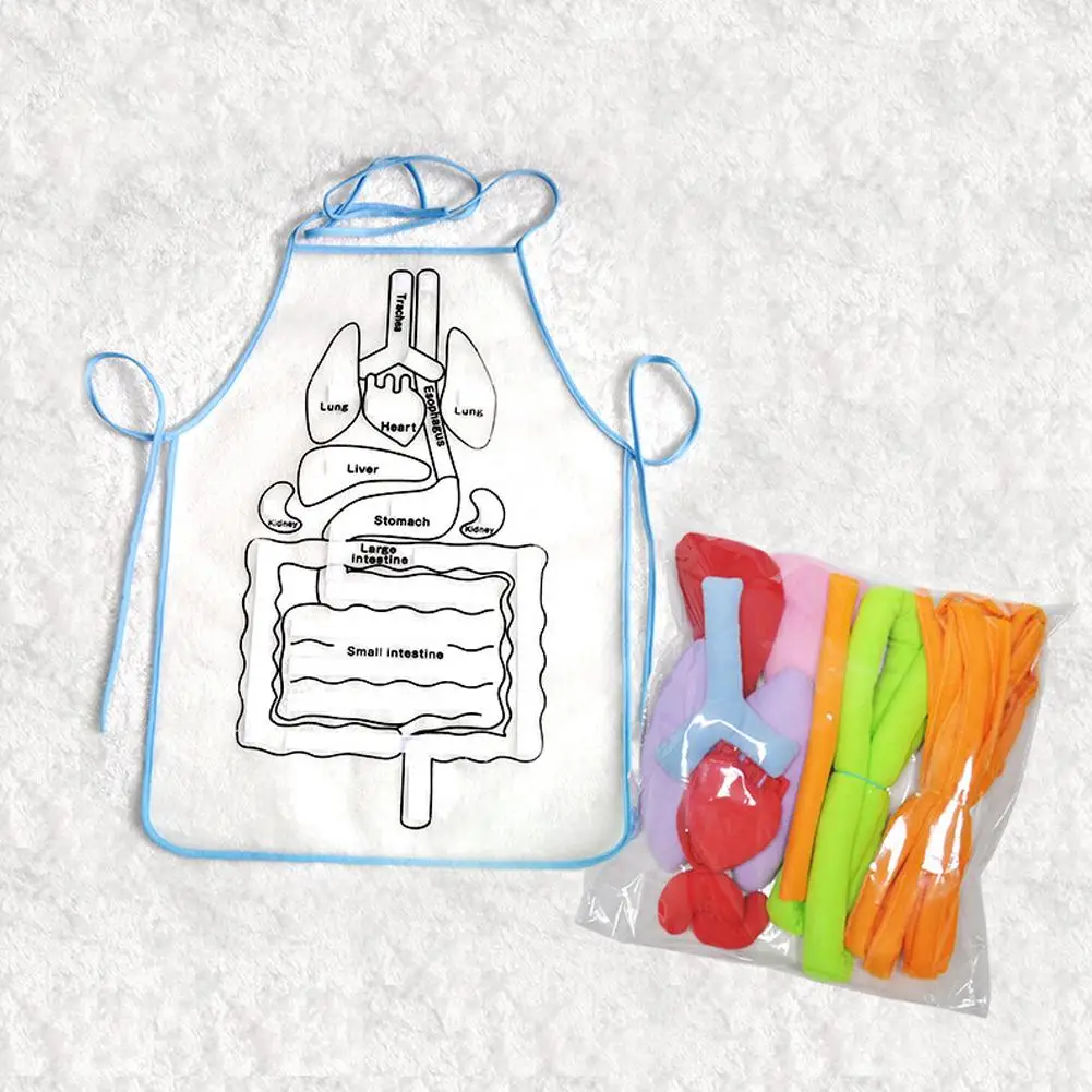  Simulation Human Body Apron Teaching Utensils Children Puzzle Enlightenment Apron Early Education T - 33046995800