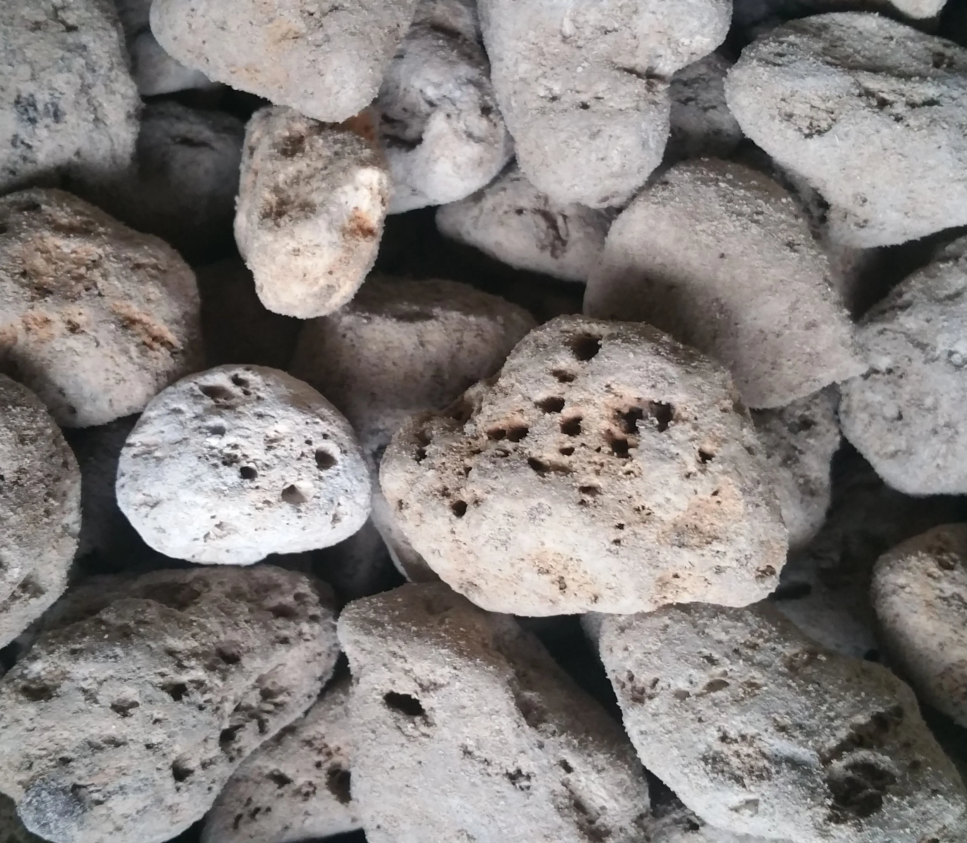 Fleshy gardening pumice stone pavement light soil mix imported