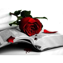 Полный квадратный алмаз 5D DIY Алмазная картина фото на заказ "Розы и книги" 3D круглая вышивка крестиком Мозаика Декор
