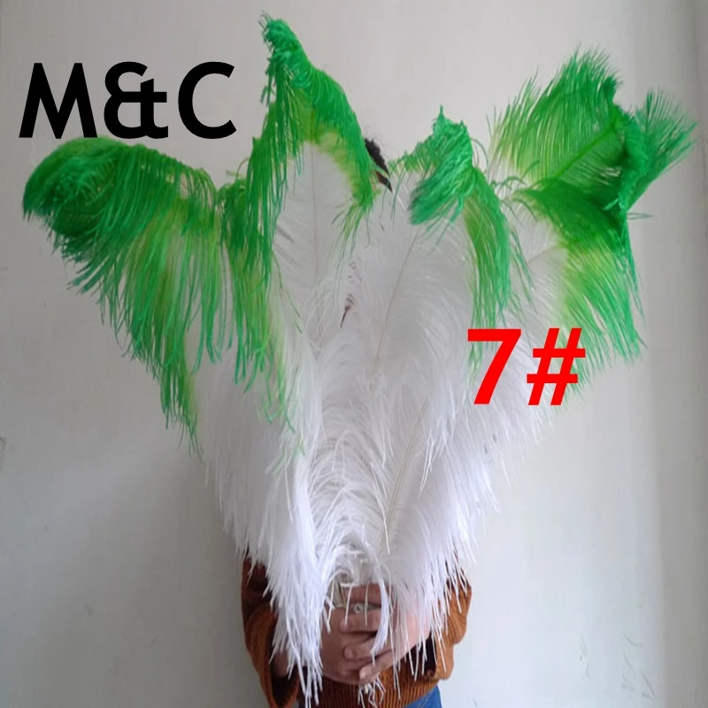 29