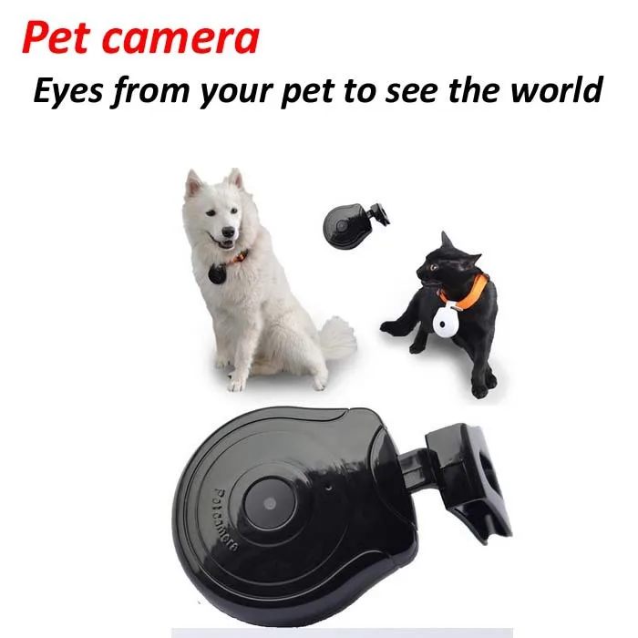 

Pet camera & Automatic Dog Cat LCD Video Camera Recorder Show Pet Owner Phone Number