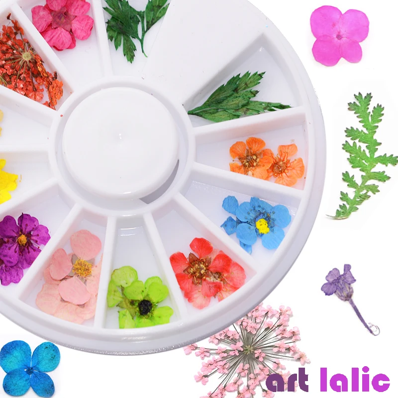 1 колесо микс сушеных листьев цветка для украшения ногтей натуральные сухие цветы наклейки DIY 3D Маникюр УФ гель Советы