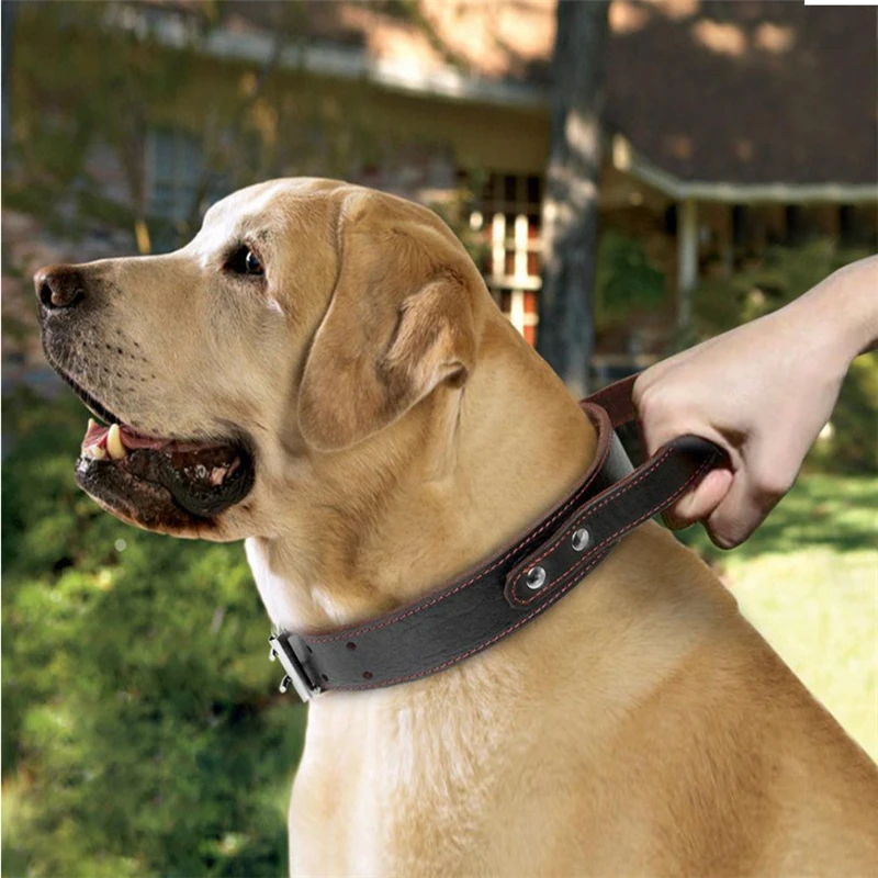 犬の首輪パーソナライズされたカスタム革犬の首輪のタグ小中大犬ピットブルブルドッグビーグル Collars Aliexpress