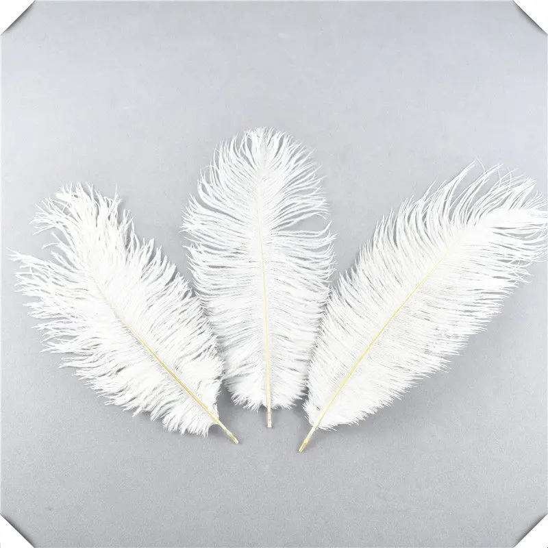 Красивые 10 шт./лот страусиные перья 25-30 см перья для поделок «сделай сам» принадлежности для свадебной вечеринки карнавальные украшения - Цвет: White