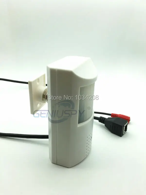 Pir ip camera 10