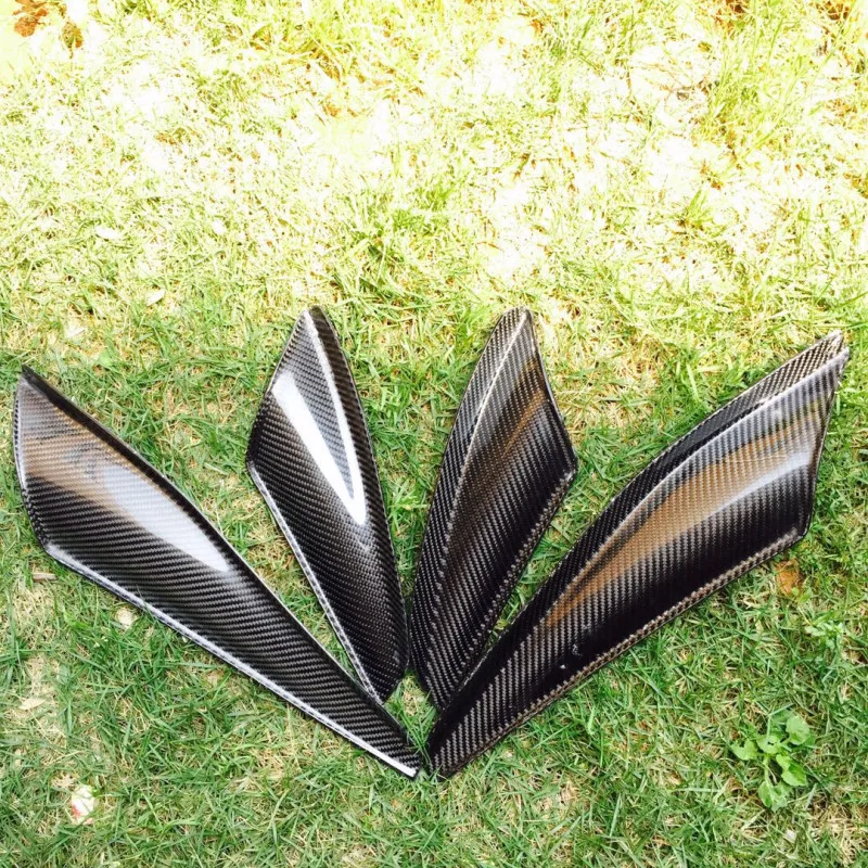 EVO10canard (1)_