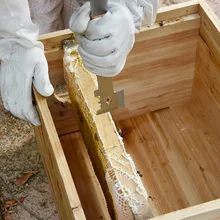 Горячая многофункциональная пчела из нержавеющей стали скребок для улья инструмент пчеловодства пчелиный улей ручной инструмент LSK99