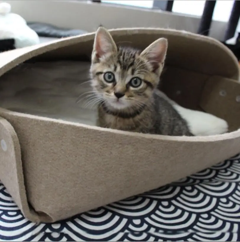 

2019 NEW Environmental Protection Natural Pastoral Style Cat Dog Bed House Cat Nest Pet Mattress Felt Cloth Pad