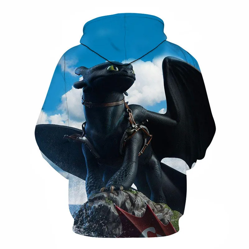 2019 New Toothless Print Men's Sweatshirts How To Train Your Dragon Figures Light Fury White Dragon Printed Male Hoodies Streetwear (10)