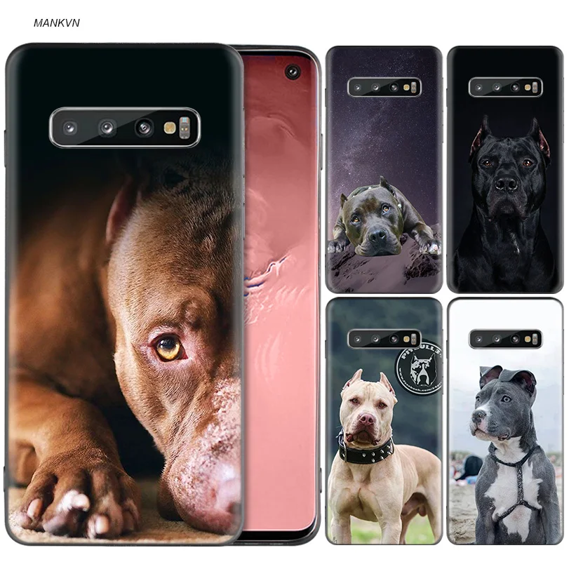 

Pit Bull Pitbull Silicone Case For Samsung Galaxy S8 S9 S10 Plus S10e A50 A30 M30 A40 A20 A10 M20 M10 S7 Edge Cover