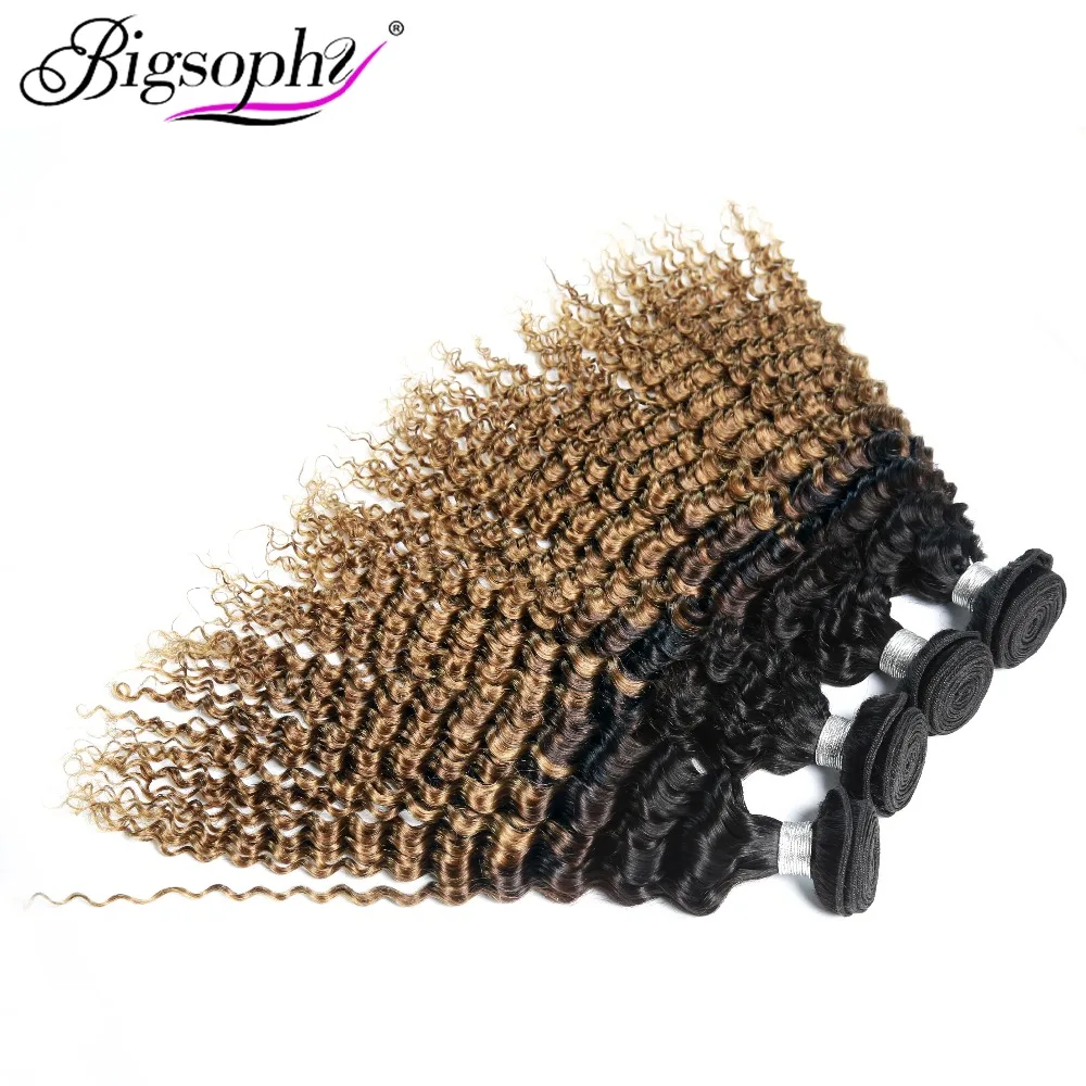 Bigsophy Malaysian Hair Weave Bundles Human Hair Bundles Deep Wave 4pcs Deal Remy Hair Extensions 2 Tone Ombre Color T1B/30 Bigsophy Malaysian Hair Weave Bundles Human Hair Bundles Deep Wave 4pcs Deal Remy Hair Extensions 2 Tone Ombre Color T1B/30