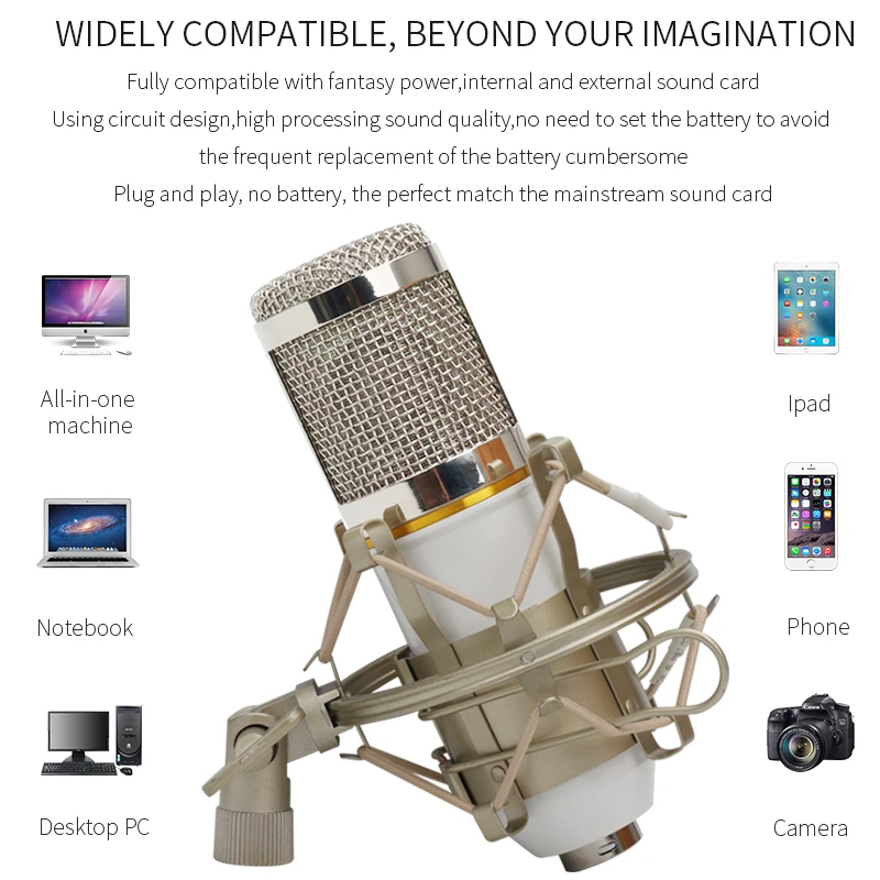 BM 800 Professional Condenser Microphone bm800