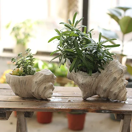 

Conch Flowerpots Flower Pottery Water Culture Soil Culture Antique Decoration Ornament Garden