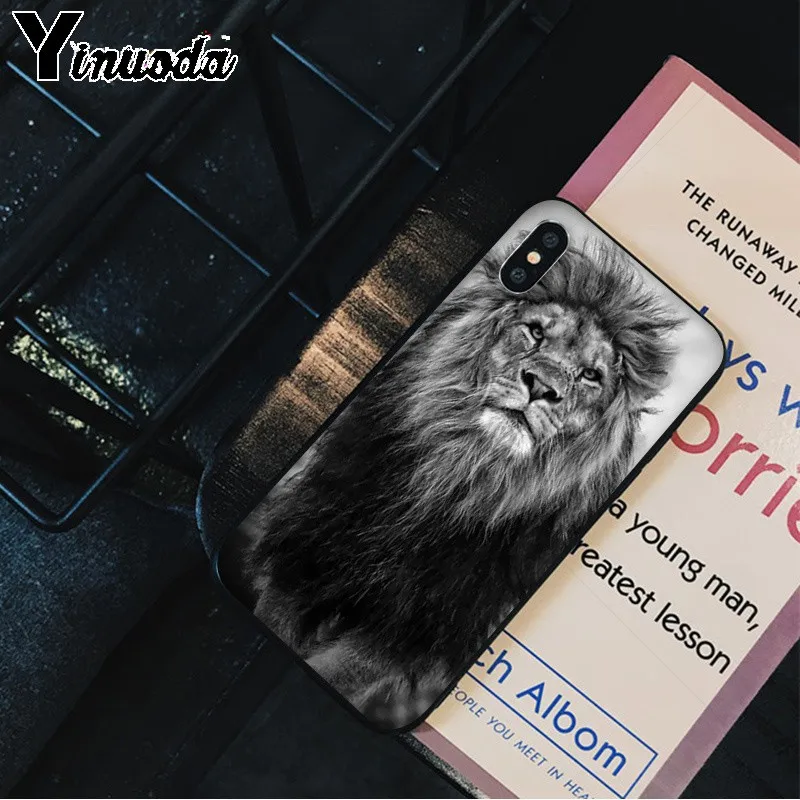 Animals The lion