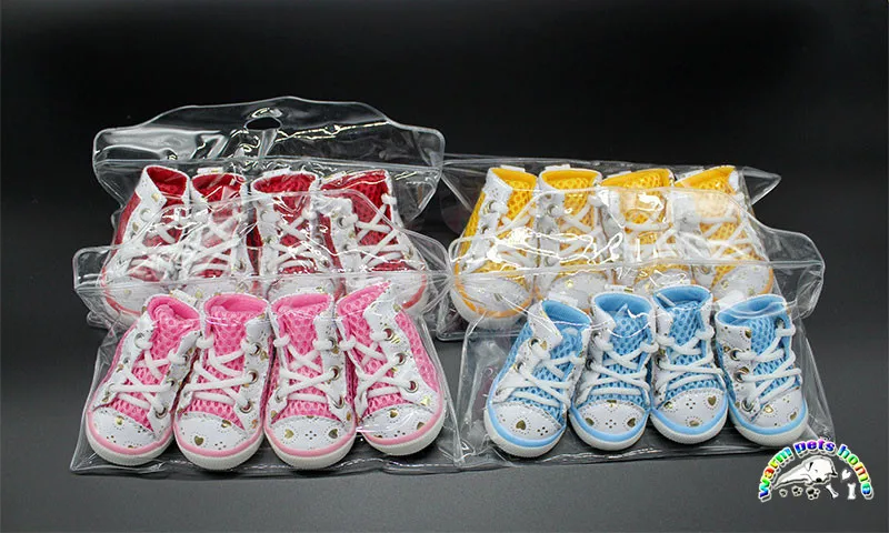 small dog shoes