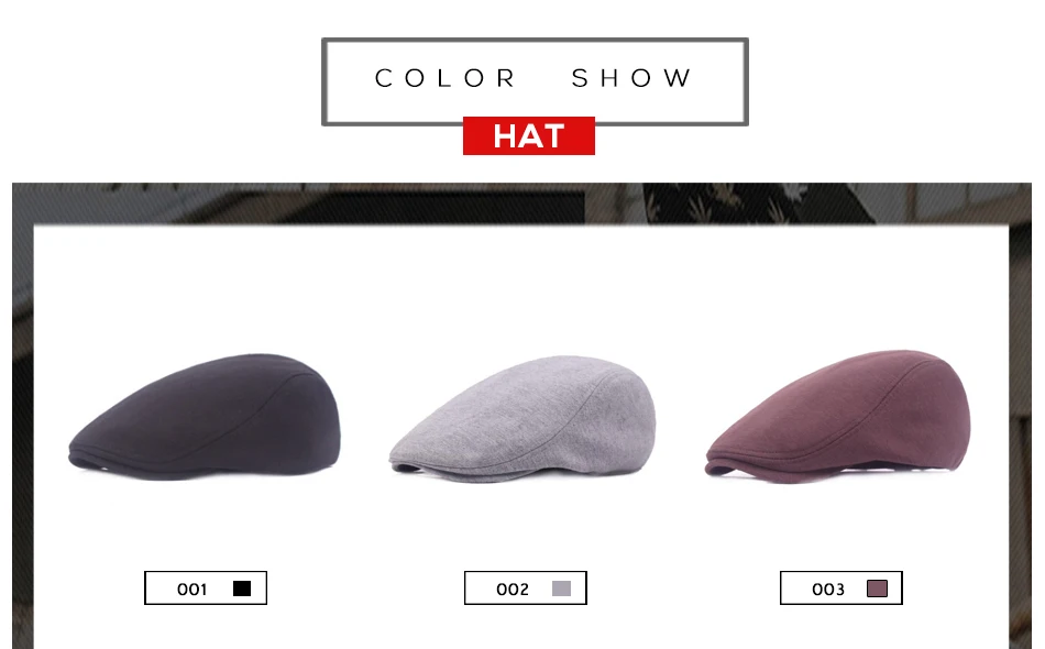 hat391_09