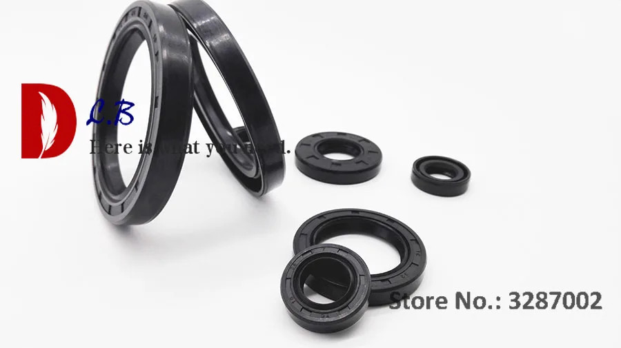 OIL SEAL -4