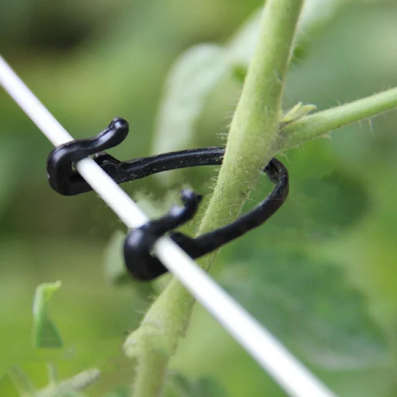 

Plant Cages Supports Tomato Clip Supports / Connect Plants / Vines Trellis / Twine / Cages Vine Plant Vegetable Fixing Clip