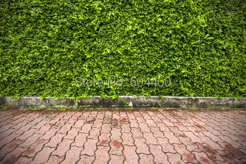 

5X7ft 1.5X2.2m background Printed Photography backdrops back drop flower flora nature hot sale D-3746