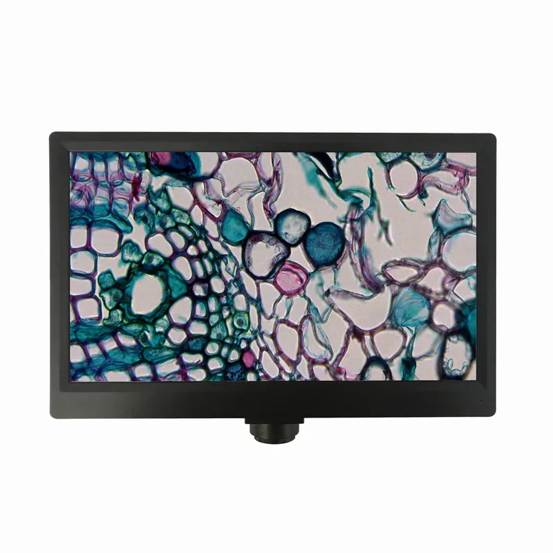 1080P Panasonic Full HD CMOS сенсор микроскоп Камера с 11 6 дюймов ЖК дисплей Экран|Микроскопы| |