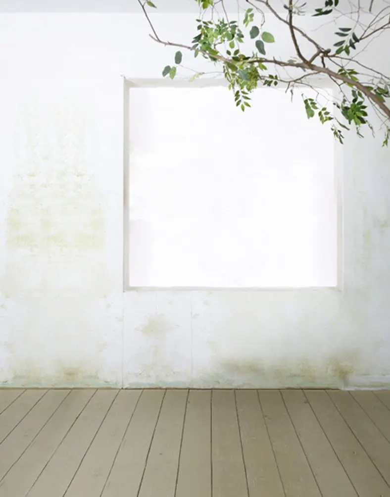 

5x7ft Wooden Floor White Wall Green Leaves Photography Backdrops Photo Props Studio Background
