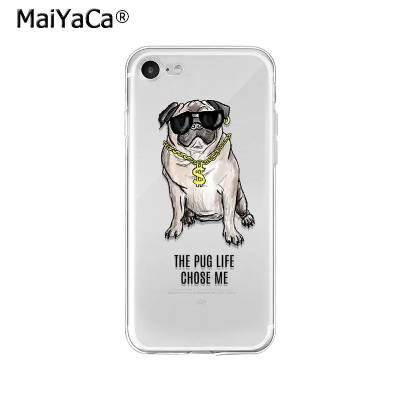 Pet Dog Pug puppy