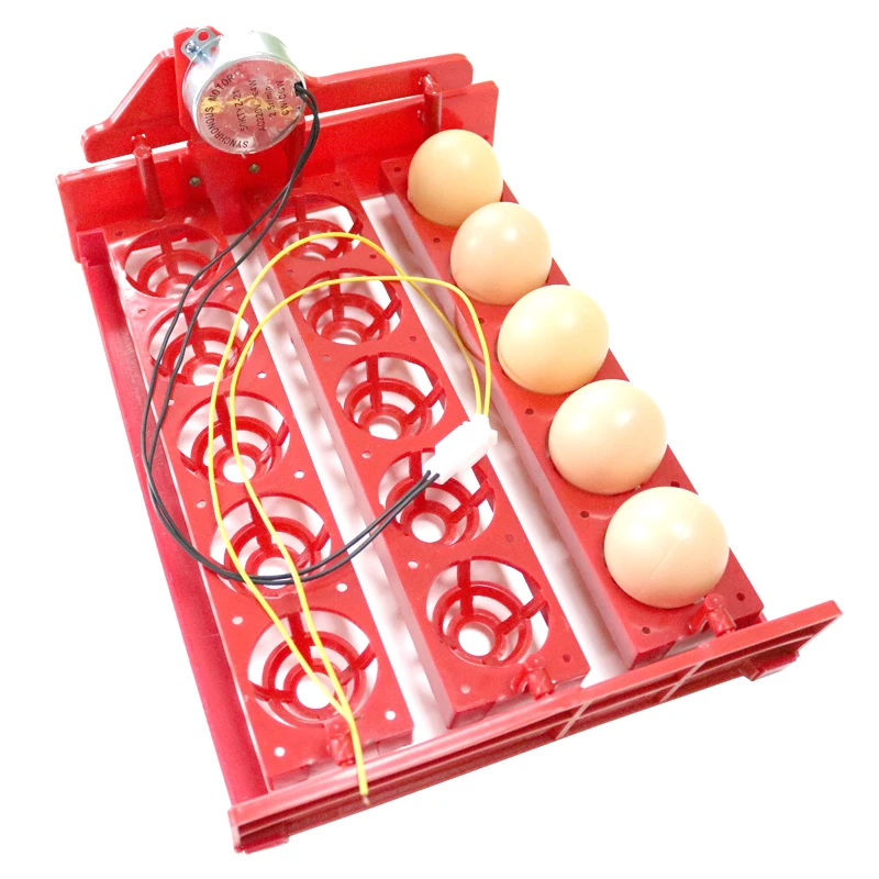 15 Eggs Incubator Egg Tray Automatic Incubator Egg Tray Automatically Turn The Eggs 3 * 5 Holes Poultry Incubation Equipment