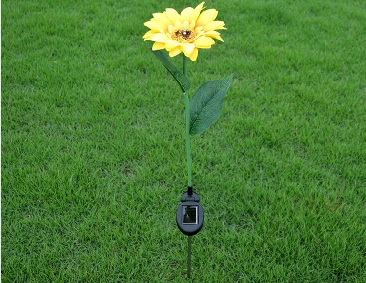 5_