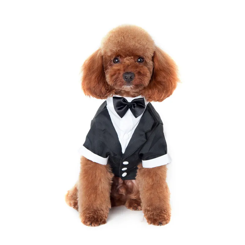 

Dog Clothes Wedding Suit Dress for Dogs Cats Male Dog SuitsDog Wedding Dress on free shipping Dog Clothing