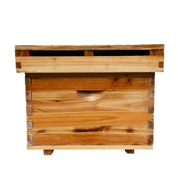 

Ten-frame Standard Bee Box Full Set Of Bee-keeping Box Bee Hives Beekeeping Tools In The Bee Flat Box Special Lattice Box