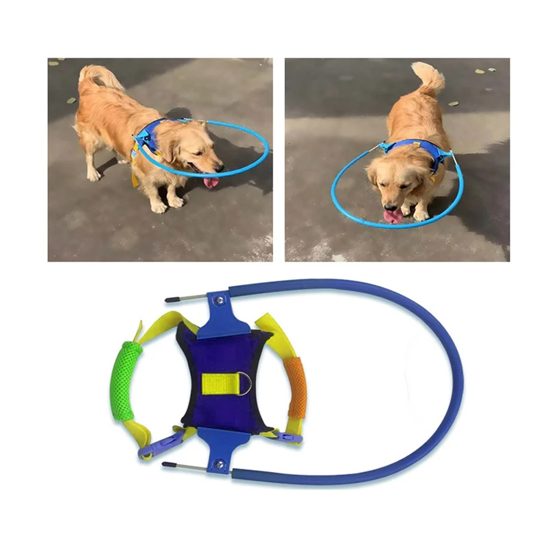 Pet Safe Halo Harness For Blind Dogs Scorpion Cataract Animal Protection Circle Guide Dog Harness Blind Pet Anti-collision Ring