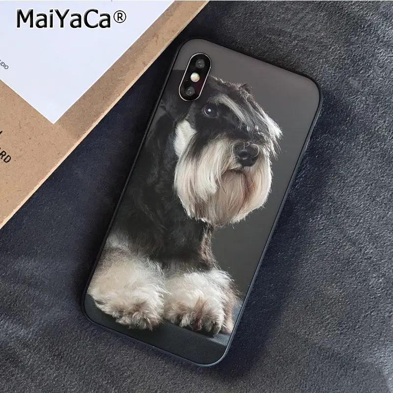 Lovely Dogs Schnauzer 