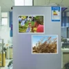 A4 Photo Paper Fridge Magnetic Matte Finish Magnetic Printing Paper Magnetic Paper Magnetic Photo Paper Refrigerator Sticker ► Photo 2/6