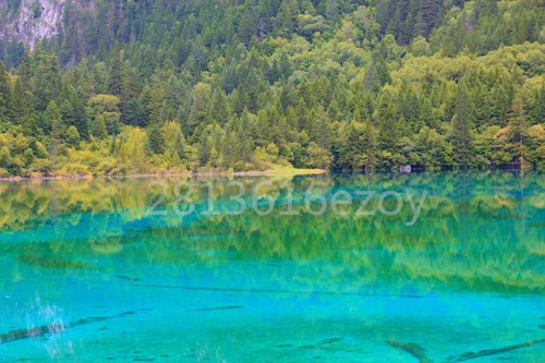 TB25Ig4X1zz11Bjy1XdXXbfqVXa_!!1969658012