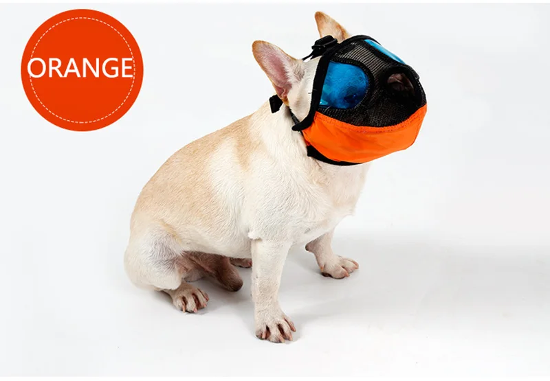 Short Snout dog Muzzle (14)