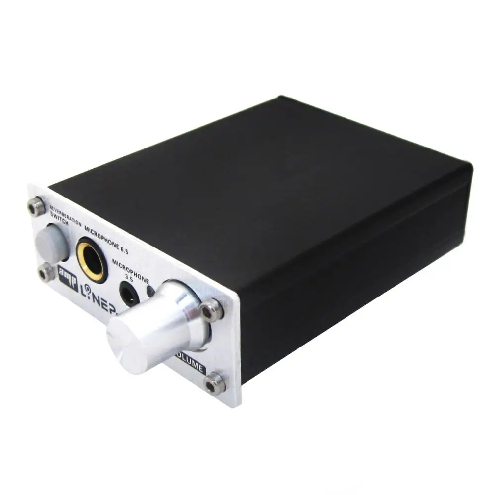 Portable Mini Professional Dual Microphone Amplifier