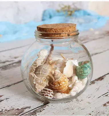 

Natural conchas shells craft marine bottle glass home decoration ornaments cowrie shells gifts