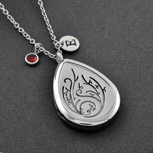 CMP0027 Almohadillas Libre Lágrima Personalizada Locket del Perfume Aroma Difusor de Aromaterapia Difusor de Aceite Esencial Collar de BRICOLAJE