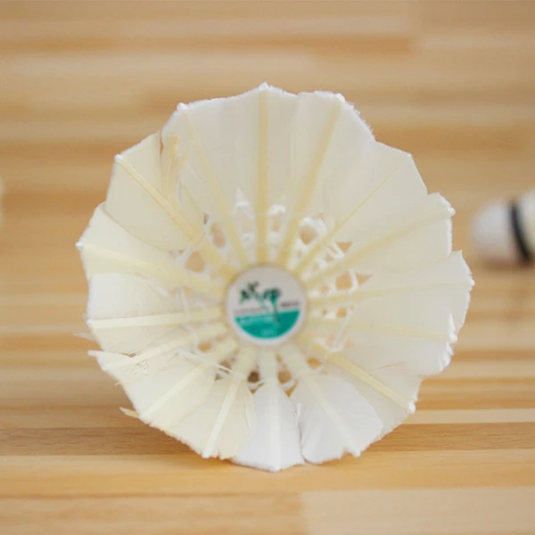 Relefree 5 Pcs Professional Badminton Balls Shuttlecocks White Goose Feather Training Badminton Ball Sports Accessories