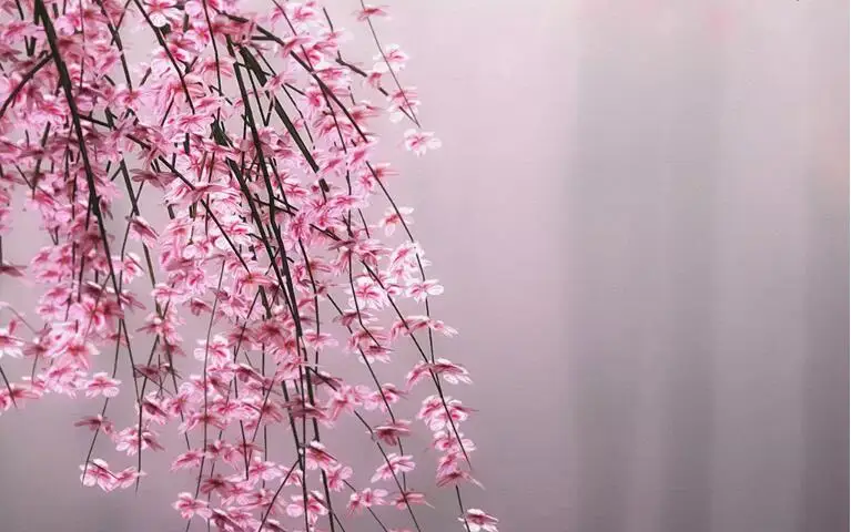QQ20180626203625