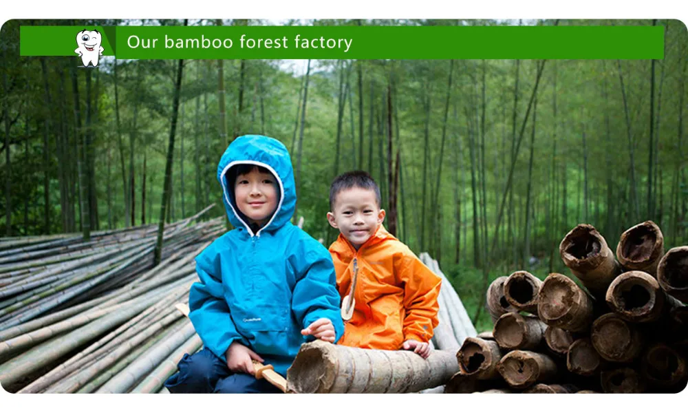 Peças de Bambu Feito de Madeira Escova de Dentes Escova de Dentes de Bambu Fibra de Cerdas Cabo de Madeira Pintado Bambu Novidade Soft-bambu Macias Capitellum 50 de 3 Beleza e saúde