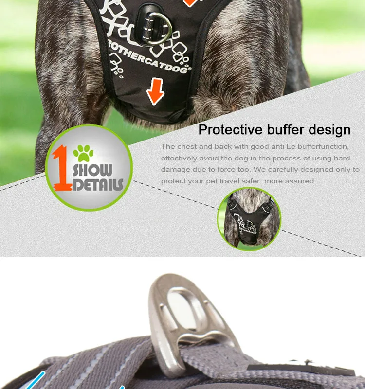 HTB1XChmhaagSKJjy0Fcq6AZeVXaK